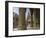 Jain Temple, Satrunjaya, Gujarat, India-Balan Madhavan-Framed Photographic Print