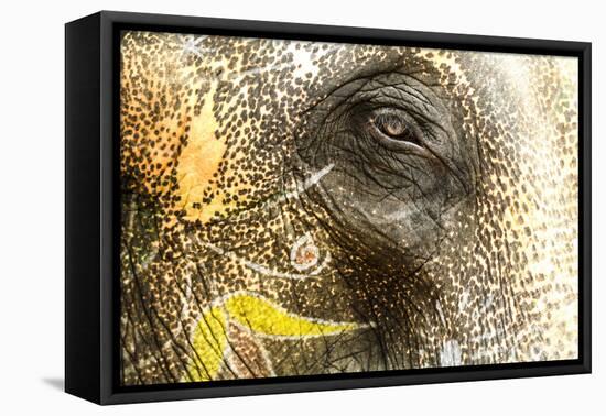 Jaipur, Rajasthan, India. Painted Elephant and one eye at Amber Fort-Jolly Sienda-Framed Premier Image Canvas