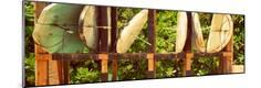Photographic Print