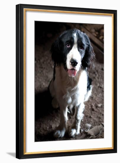 Jake the Dog-Erin Berzel-Framed Photographic Print