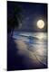 Premium Photographic Print