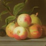 Apples on a Shelf-Jakob Bogdani-Mounted Giclee Print