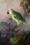 Scarlet Macaw in a Landscape-Jakob Bogdani Or Bogdany-Giclee Print