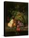 Stretched Canvas Print