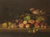 Fruit and Birds-Jakob Bogdani Or Bogdany-Giclee Print