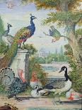 Exotic Birds and Domestic Fowl in a Picturesque Park, Early 18th Century-Jakob Bogdany-Giclee Print