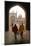 Jama Masjid Mosque, Delhi, India-David Noyes-Mounted Photographic Print