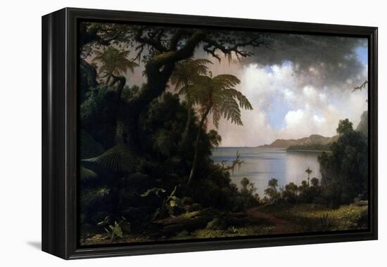 Jamaica, View from Fern-Tree Walk, 1887-Martin Johnson Heade-Framed Premier Image Canvas