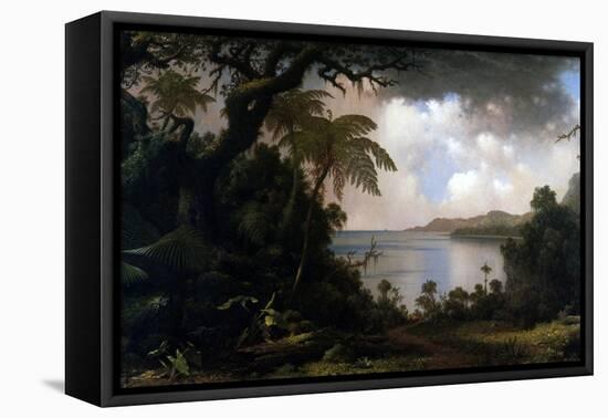 Jamaica, View from Fern-Tree Walk, 1887-Martin Johnson Heade-Framed Premier Image Canvas