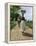 Jamaica Woman on Her Way to Market, 1890s-null-Framed Premier Image Canvas
