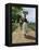 Jamaica Woman on Her Way to Market, 1890s-null-Framed Premier Image Canvas