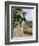 Jamaica Woman on Her Way to Market, 1890s-null-Framed Giclee Print