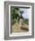 Jamaica Woman on Her Way to Market, 1890s-null-Framed Giclee Print