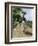 Jamaica Woman on Her Way to Market, 1890s-null-Framed Giclee Print