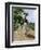 Jamaica Woman on Her Way to Market, 1890s-null-Framed Giclee Print