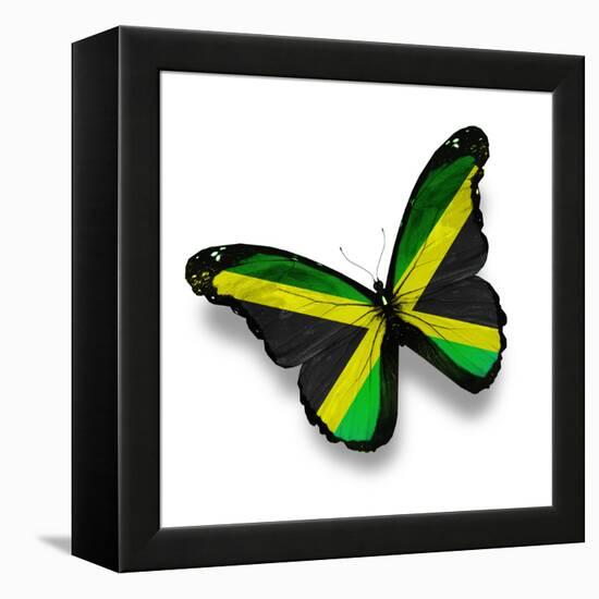 Jamaican Flag Butterfly, Isolated On White-suns_luck-Framed Stretched Canvas