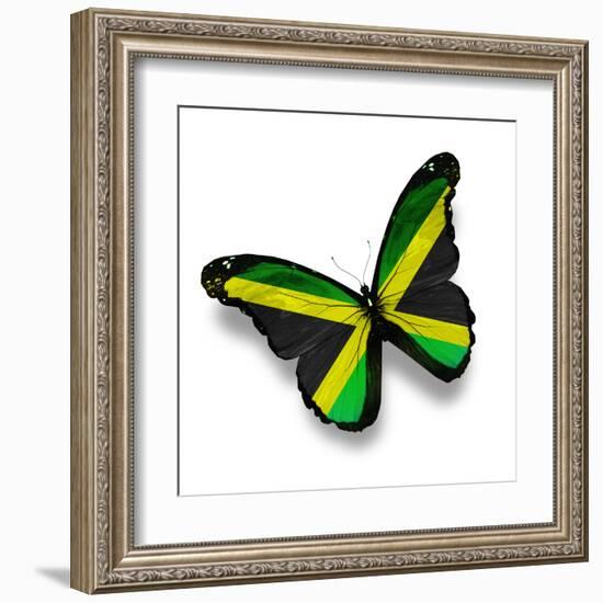 Jamaican Flag Butterfly, Isolated On White-suns_luck-Framed Art Print