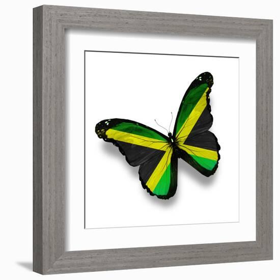 Jamaican Flag Butterfly, Isolated On White-suns_luck-Framed Art Print