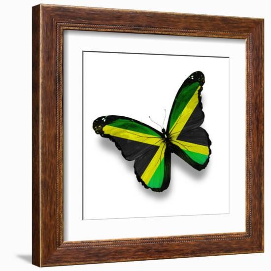 Jamaican Flag Butterfly, Isolated On White-suns_luck-Framed Art Print