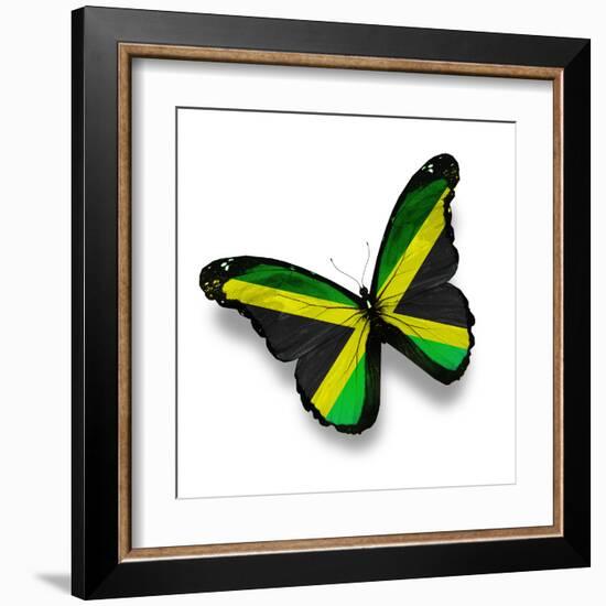 Jamaican Flag Butterfly, Isolated On White-suns_luck-Framed Art Print