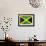 Jamaican Flag-daboost-Framed Art Print displayed on a wall