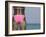 Jamaican Woman, Negril, Jamaica, West Indies, Caribbean, Central America-Angelo Cavalli-Framed Photographic Print