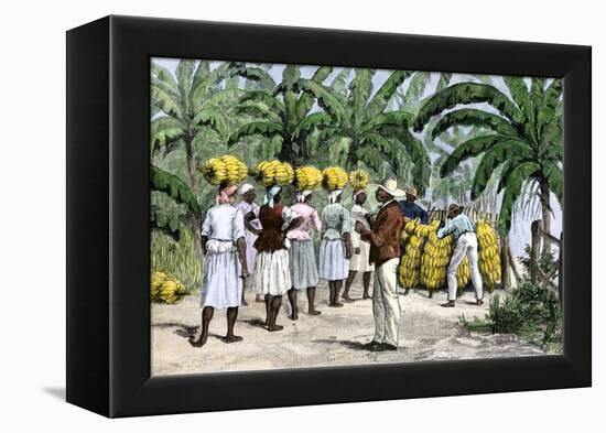 Jamaican Women Carrying Bananas to a Seaport, 1800s-null-Framed Premier Image Canvas