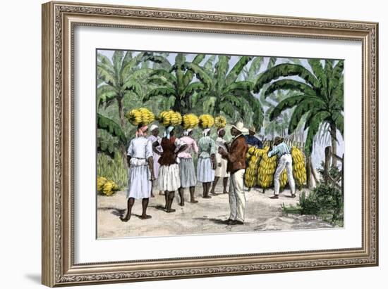 Jamaican Women Carrying Bananas to a Seaport, 1800s-null-Framed Giclee Print