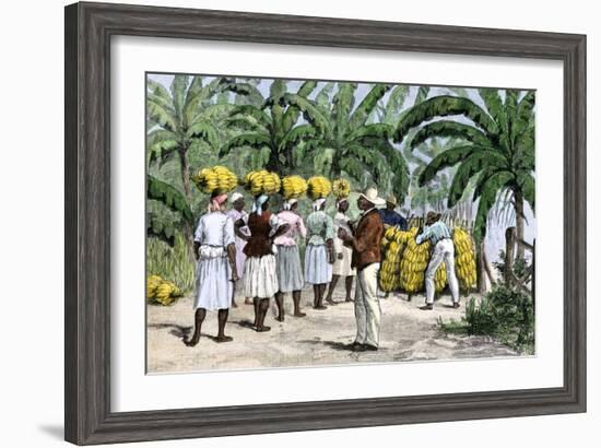 Jamaican Women Carrying Bananas to a Seaport, 1800s-null-Framed Giclee Print