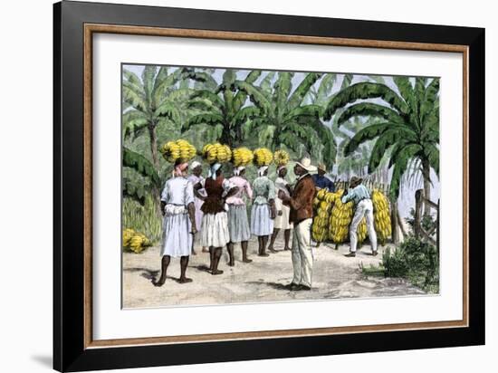 Jamaican Women Carrying Bananas to a Seaport, 1800s-null-Framed Giclee Print