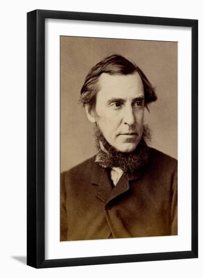 James Anthony Froude, C.1875-Napoleon Sarony-Framed Photographic Print