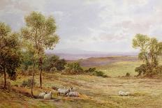 A Sheep Farm on the South Downs, 1906-James Aumonier-Giclee Print