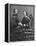 'James B. and Fannie Ricketts', c1860, (1939)-Mathew Brady-Framed Premier Image Canvas