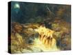 Stretched Canvas Print