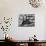 James Baldwin-Ted Thai-Premium Photographic Print displayed on a wall