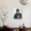 James Baldwin-Ted Thai-Premium Photographic Print displayed on a wall