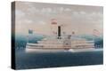 Stretched Canvas Print