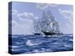 Stretched Canvas Print