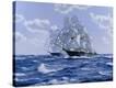 Stretched Canvas Print