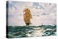 Stretched Canvas Print