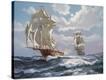 Stretched Canvas Print