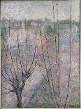 Pollarded Trees, Ashford, 1914 (Oil on Canvas)-James Brown-Giclee Print
