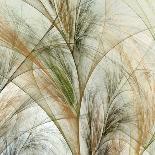 Fountain Grass II-James Burghardt-Framed Art Print