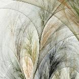 Fountain Grass II-James Burghardt-Framed Art Print