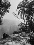 View of Victoria Falls-James Burke-Photographic Print