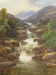 Upper Falls, Aberfeldy, 1870-James Burrell Smith-Giclee Print