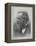 James Clerk Maxwell, Scottish Physicist-Science, Industry and Business Library-Framed Premier Image Canvas