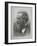 James Clerk Maxwell, Scottish Physicist-Science, Industry and Business Library-Framed Photographic Print