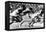 James Cleveland "Jesse" Owens, American Athlete at Departure of 100M Race at Olympic Games in 1936-null-Framed Stretched Canvas