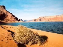 Mussel Shell at Dungeon Canyon, Lake Powell-James Denk-Photographic Print